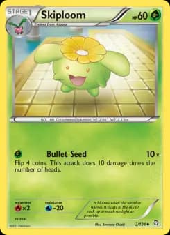 Skiploom
