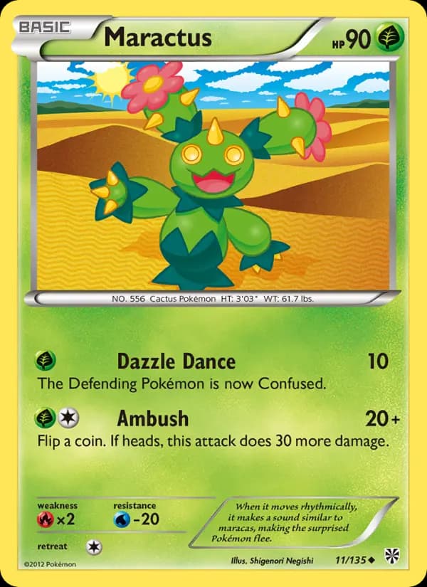 Maractus