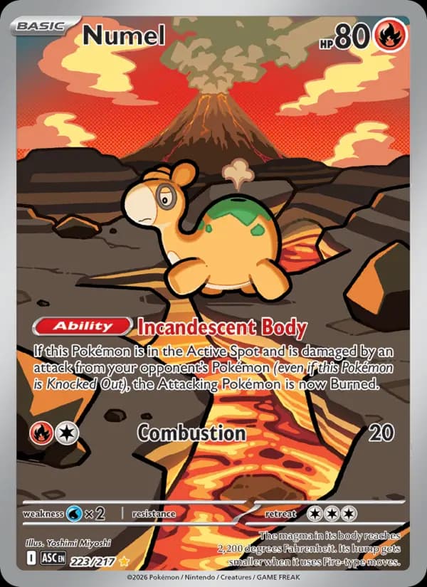 Numel