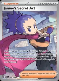 Janine's Secret Art