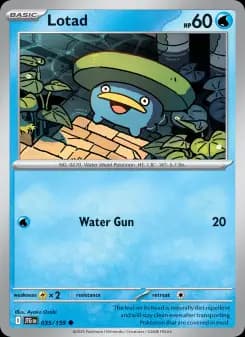 Lotad