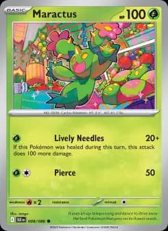 Maractus