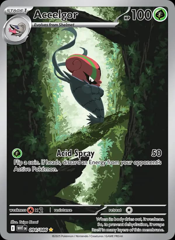 Accelgor