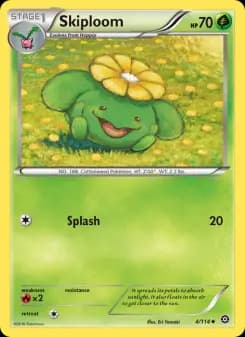 Skiploom