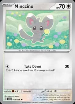 Minccino