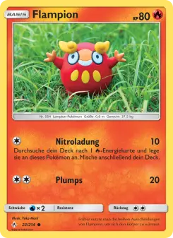 Flampion