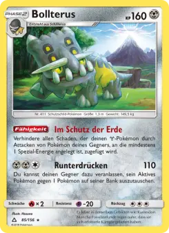 Bollterus