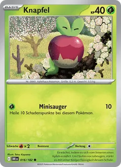 Knapfel